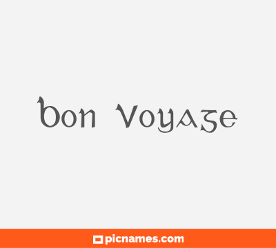 Bon Voyage